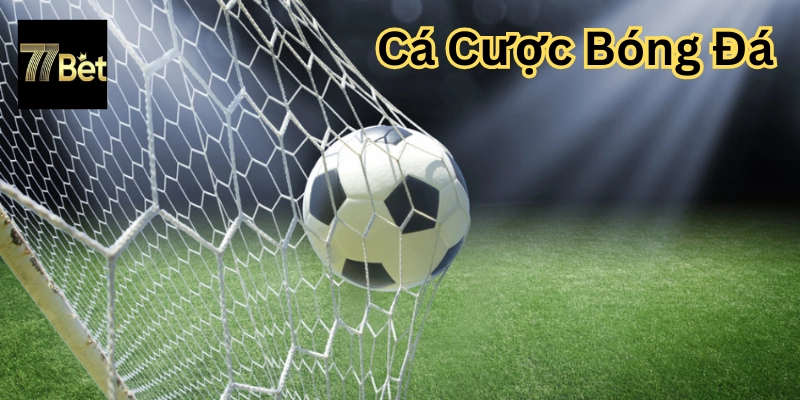 Cá Cược Bóng Đá là gì?